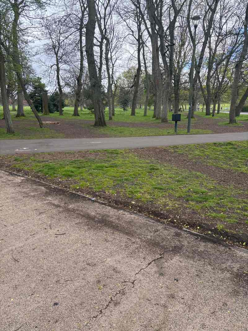 walking near me in The Meadows in spring