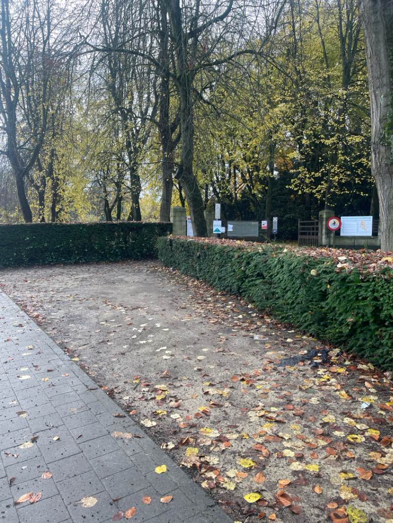 walking near me in Zwembadpark in winter