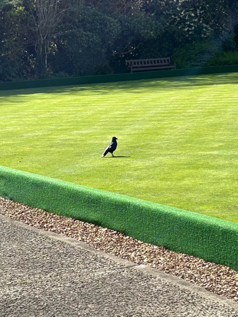 walking near me in North Haugh in winter