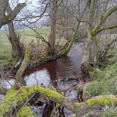 derek.🇮🇪🇬🇧 post 3