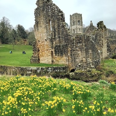 derek.🇮🇪🇬🇧 post 2