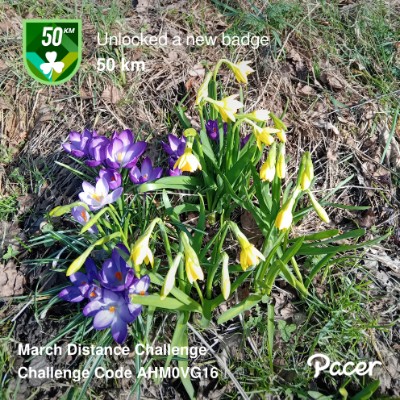 derek.🇮🇪🇬🇧 post 1