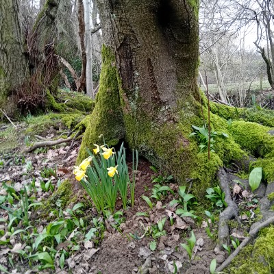 derek.🇮🇪🇬🇧 post 2