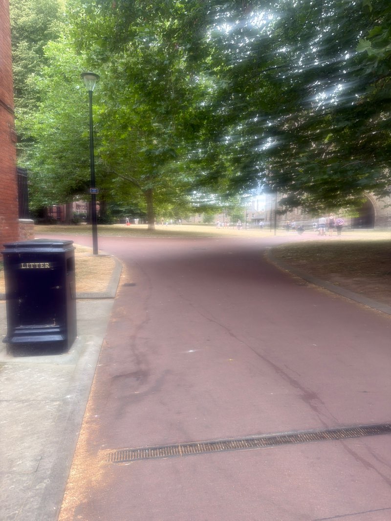 walking near me in Cathedral Green in summer