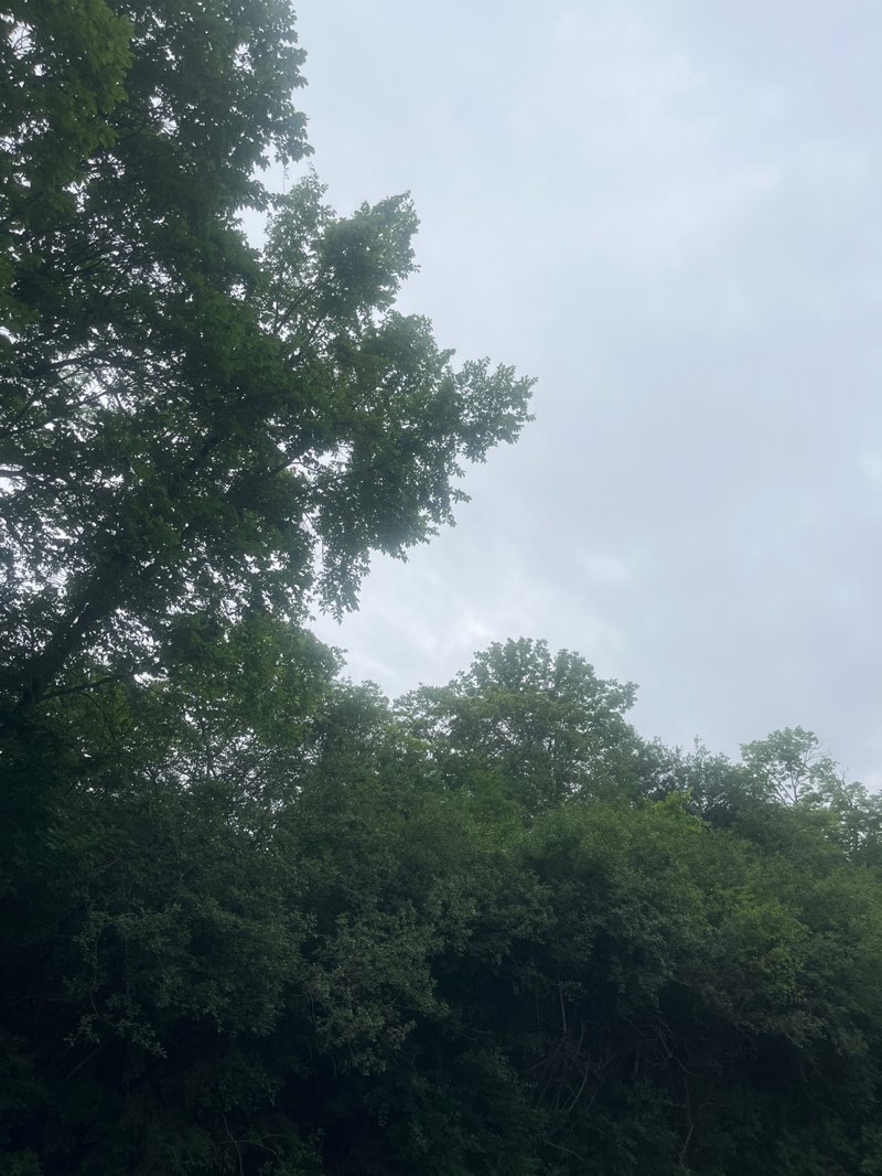 walking near me in Towpath Trail in summer