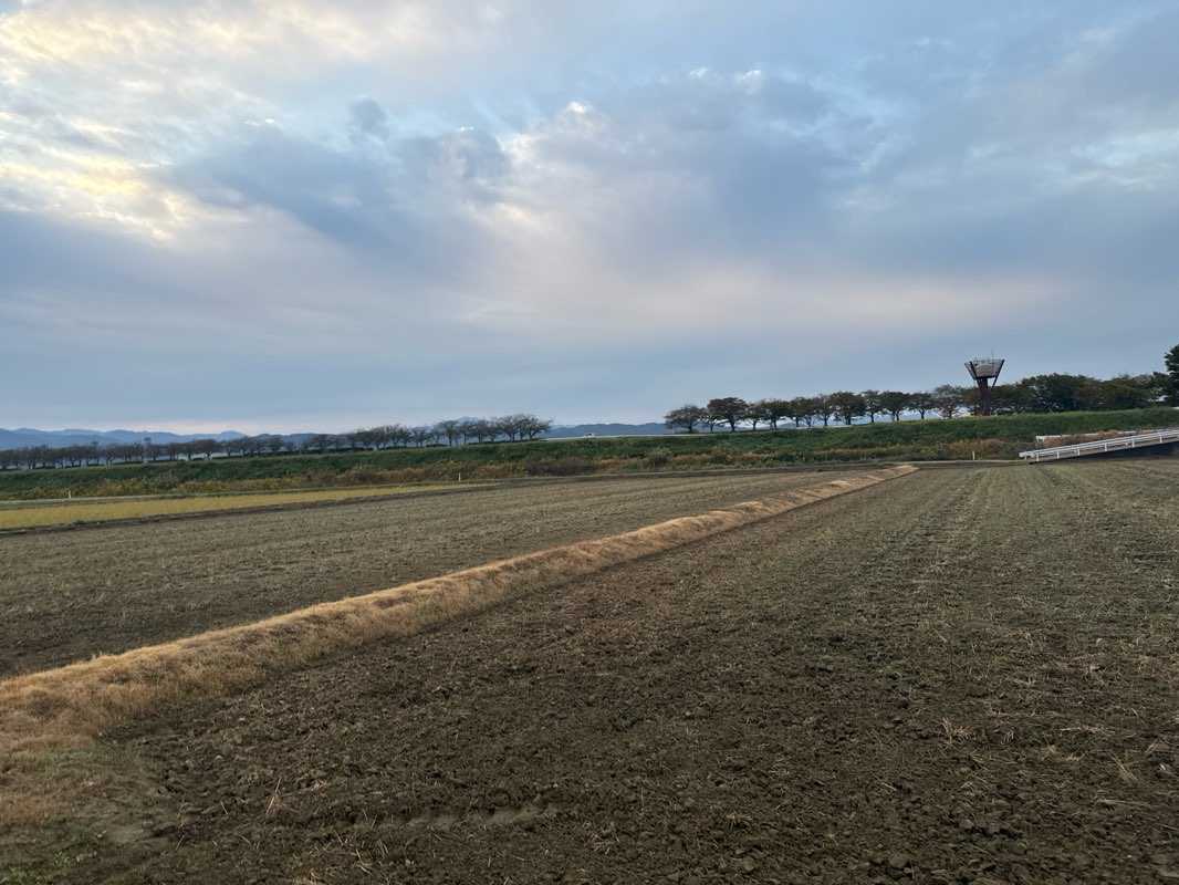 walking near me in 親水公園 in winter