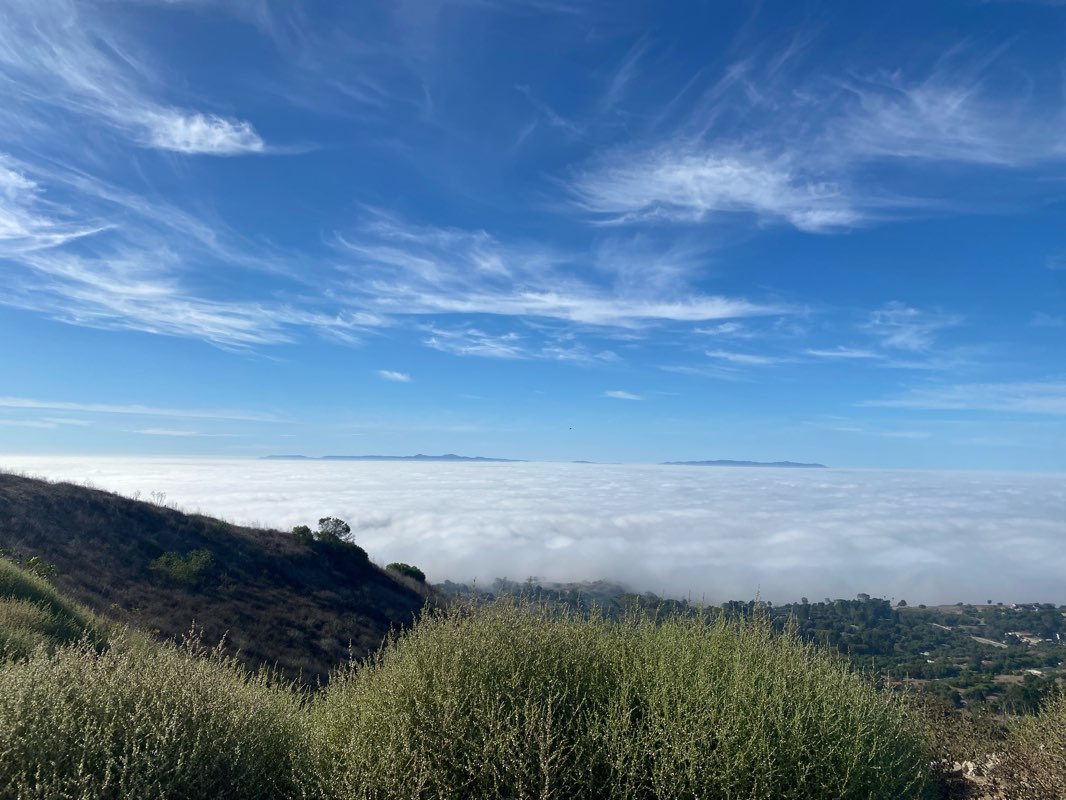 walking near me in Portuguese Bend Reserve in winter