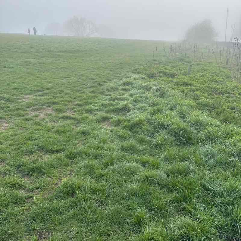 David 🏴󠁧󠁢󠁳󠁣󠁴󠁿🇬🇧🇺🇦 post 1