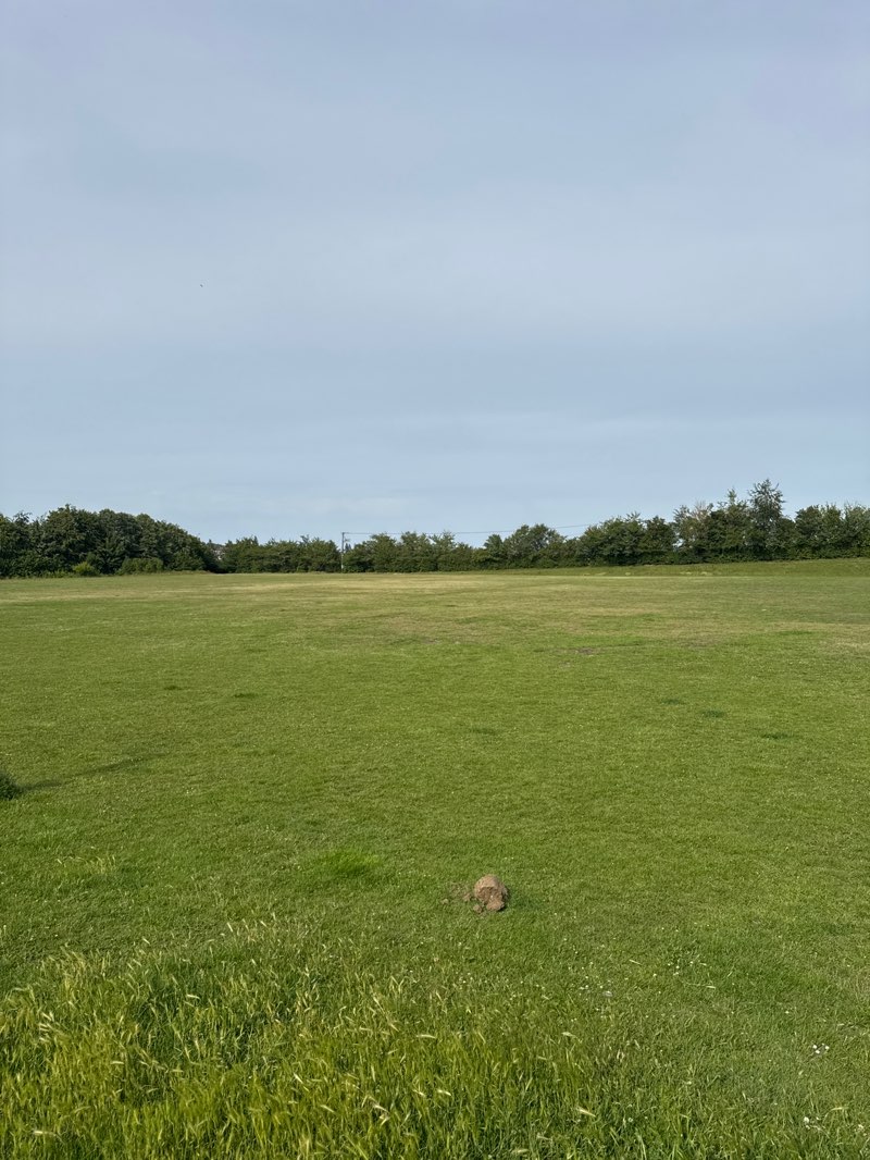 walking near me in Hextable Park in summer