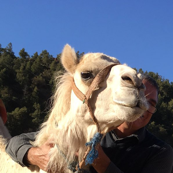 Global Nomad profile