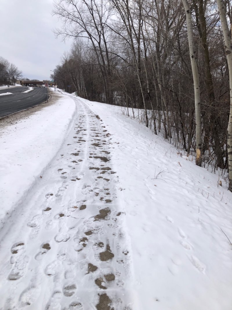 walking near me in Twin Lakes Park in winter