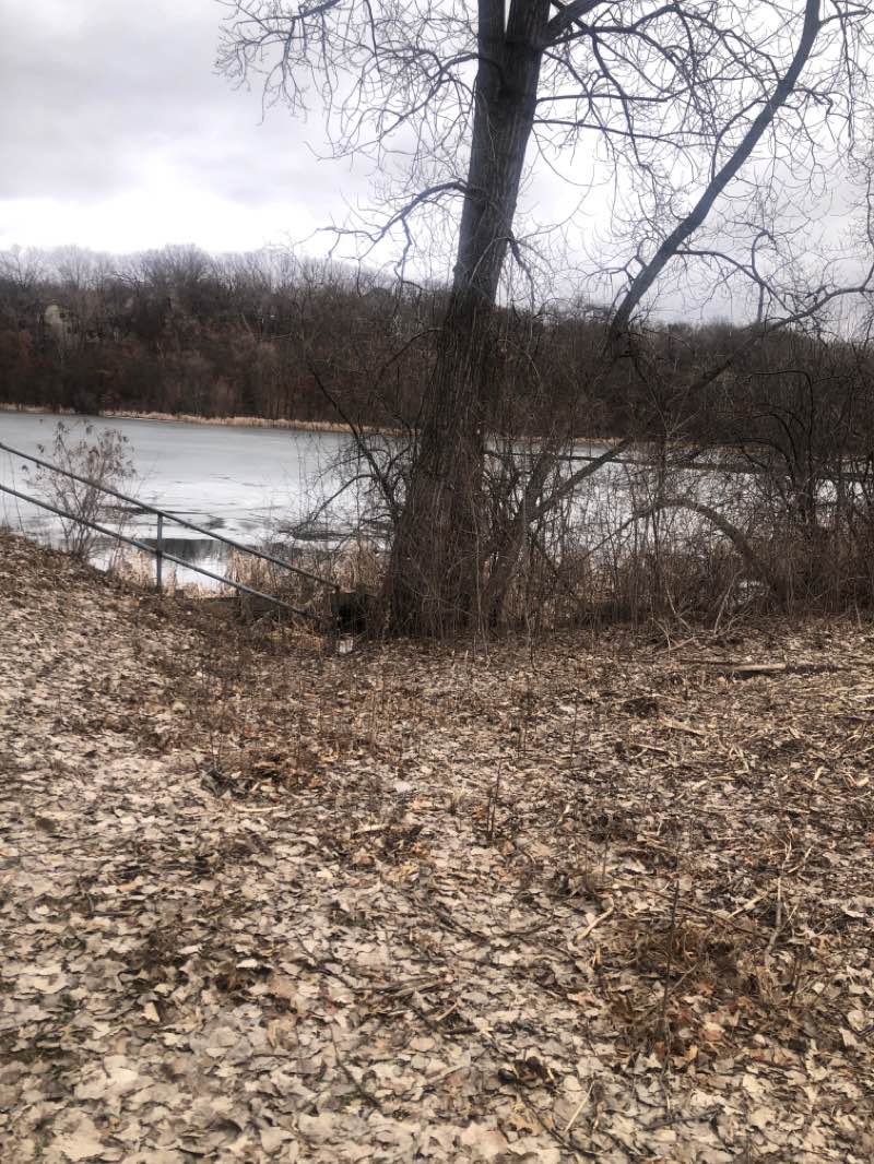 walking near me in Day Park in spring