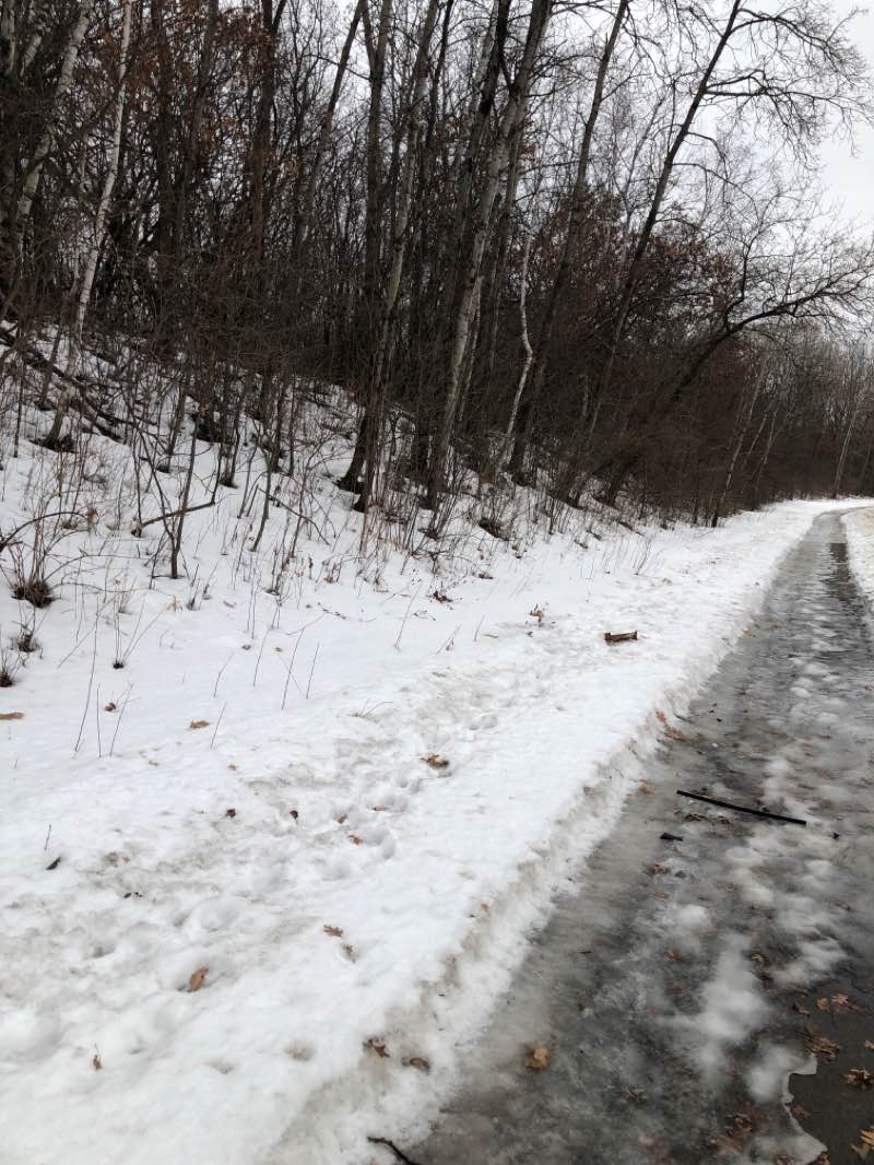 walking near me in Twin Lakes Park in spring