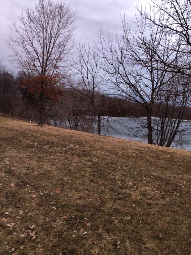 walking near me in Wood Park in spring