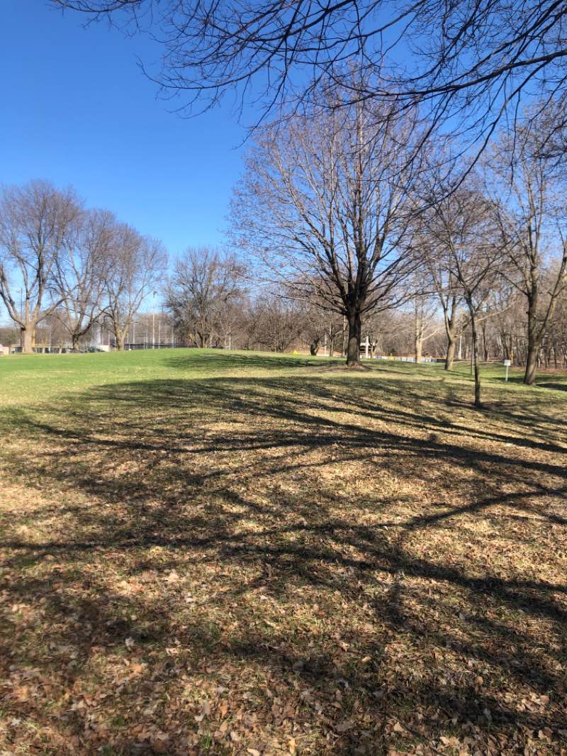 walking near me in Alimagnet Park in spring