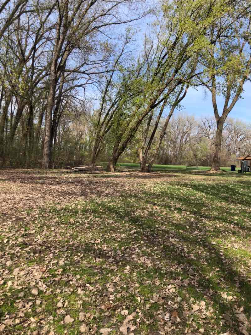 walking near me in Crystal Lake West in spring