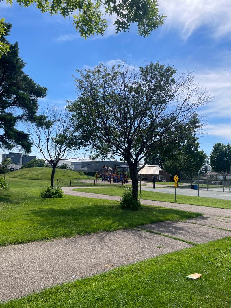 walking near me in Washington Park in summer