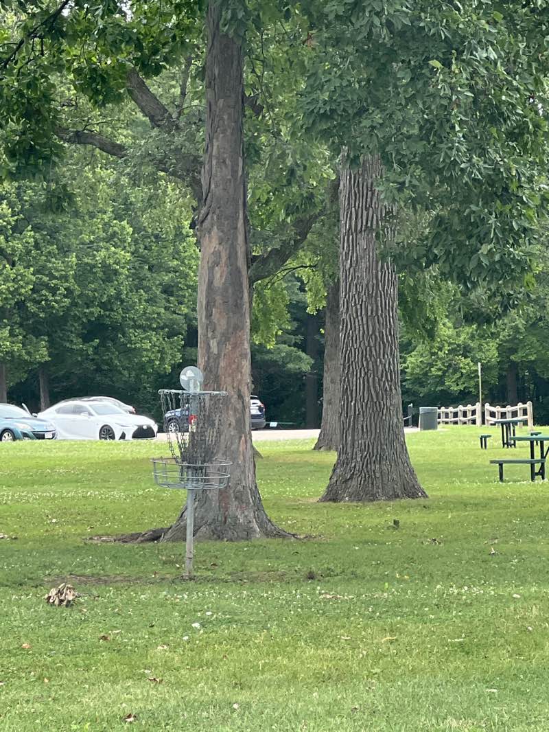 walking near me in Telulah Park in autumn