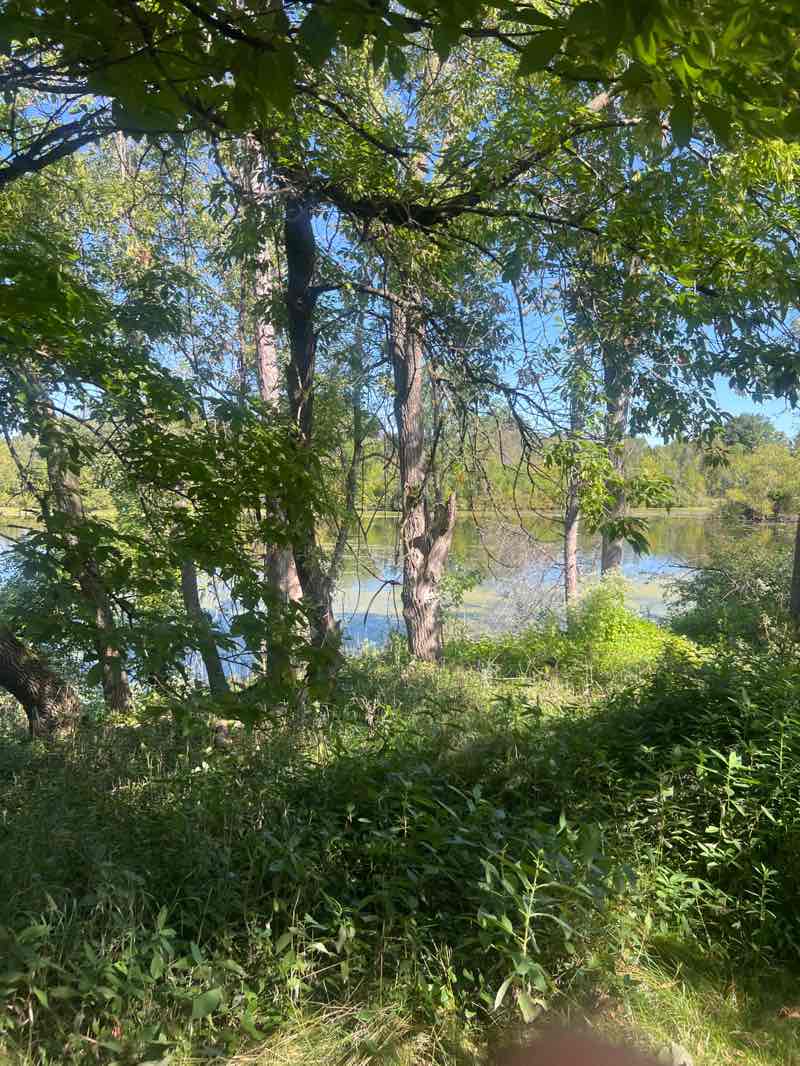 walking near me in High Cliff State Park in autumn