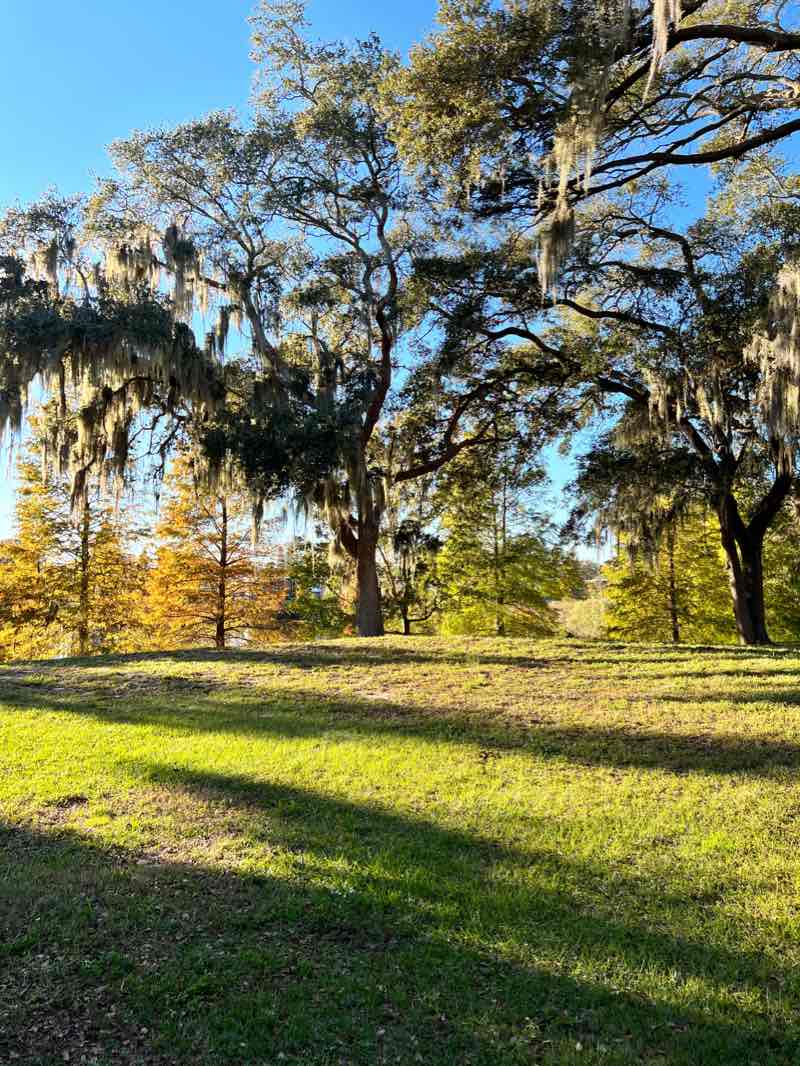 walking near me in Glen Oaks Park in winter