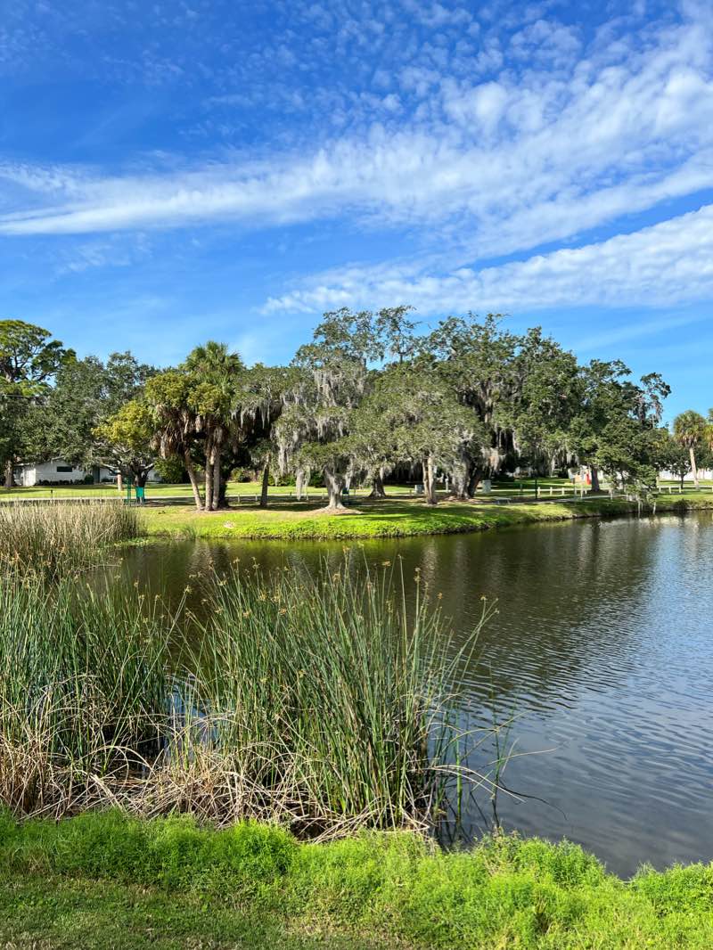 walking near me in Cooper's Bayou Park in winter