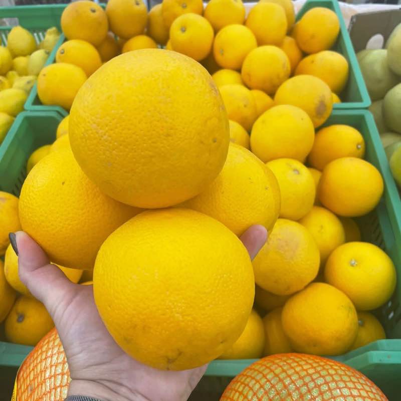 🦁🍊Анастасия Макарова post 2