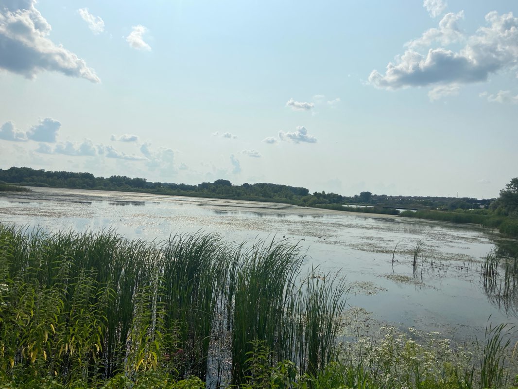 walking near me in Tierney's Woods in winter