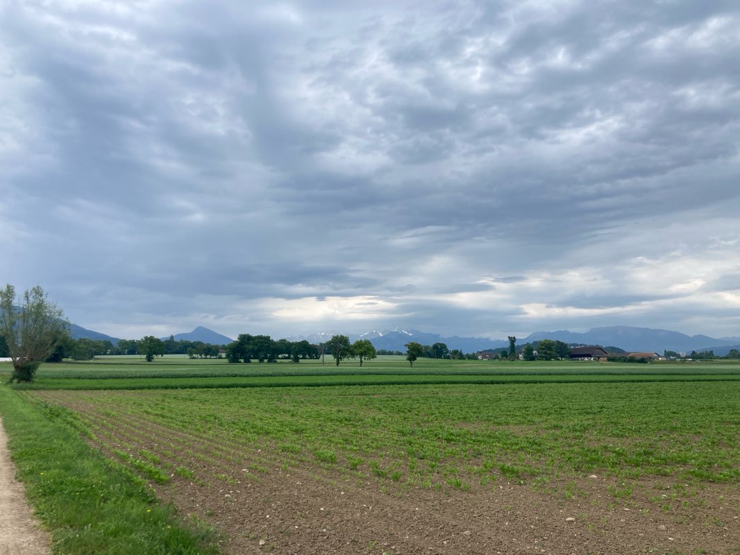 walking near me in Parc Montessuit in winter