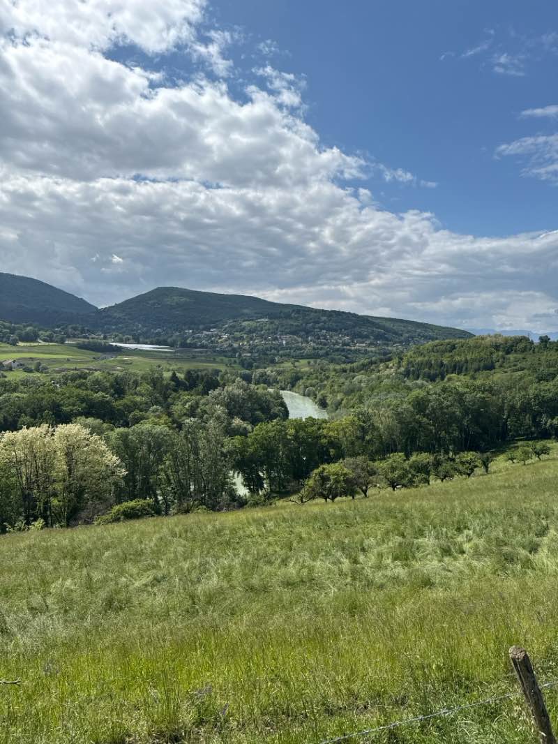 walking near me in Jardin des Iris in spring
