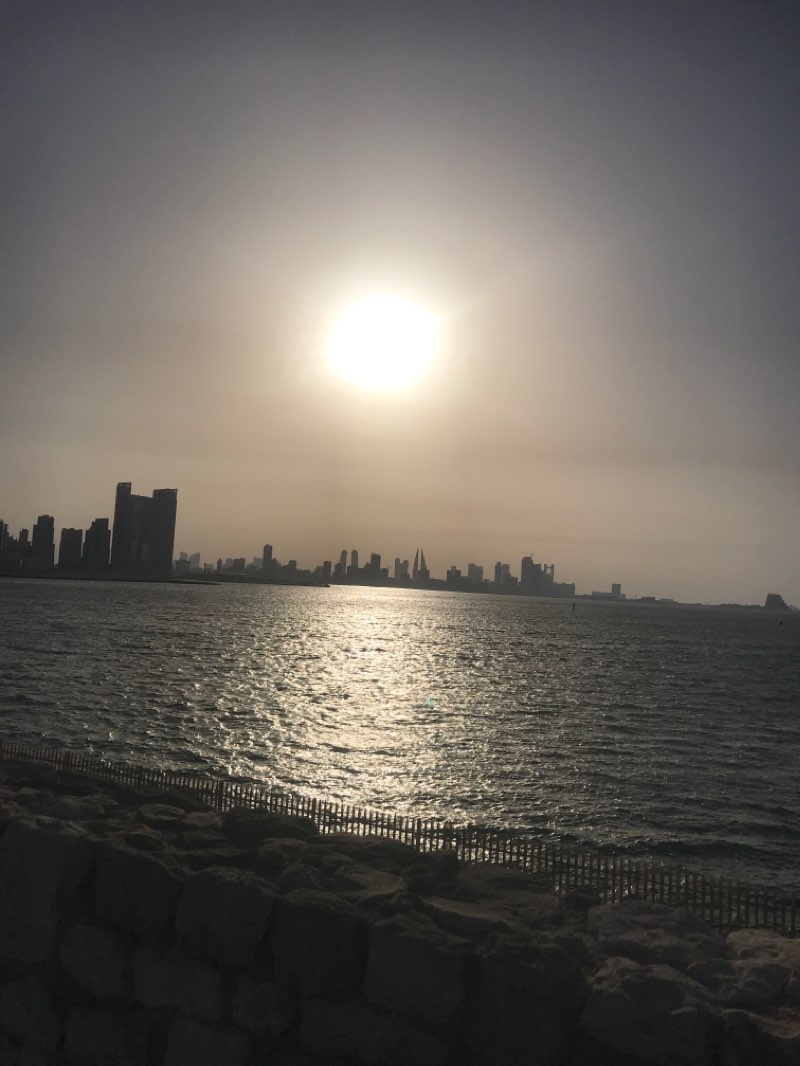 walking near me in Hidd Gardens in winter