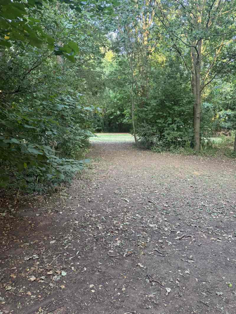 walking near me in Broadford Meadow Arboretum in summer
