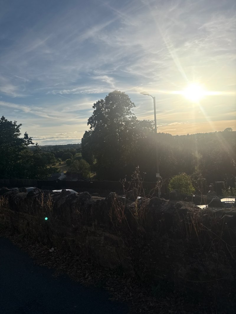 walking near me in The Prospect in summer