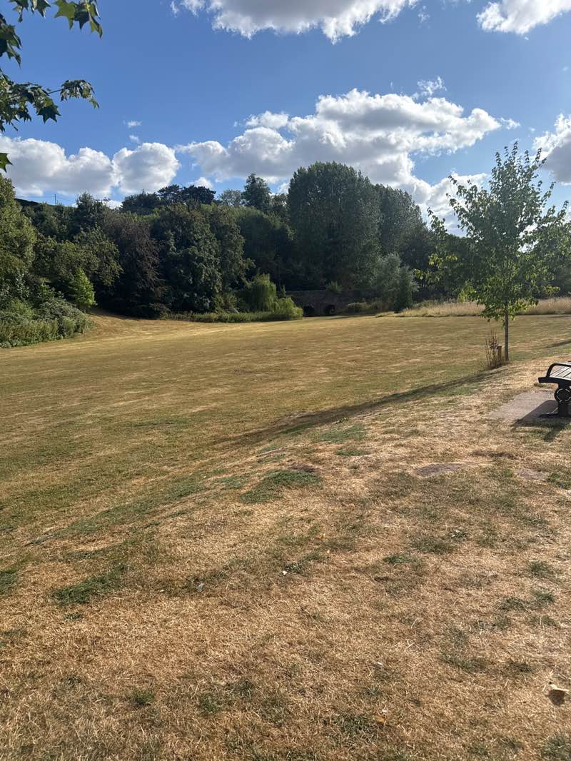 walking near me in Caroline Symonds Gardens in summer