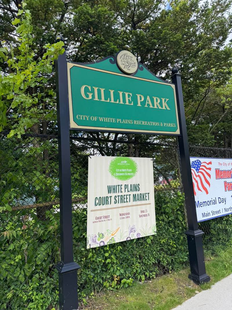 walking near me in Gedney Park in spring