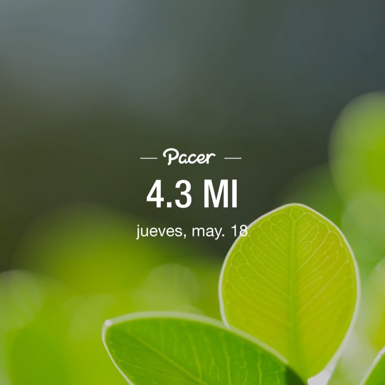 mildredolivarez post 1