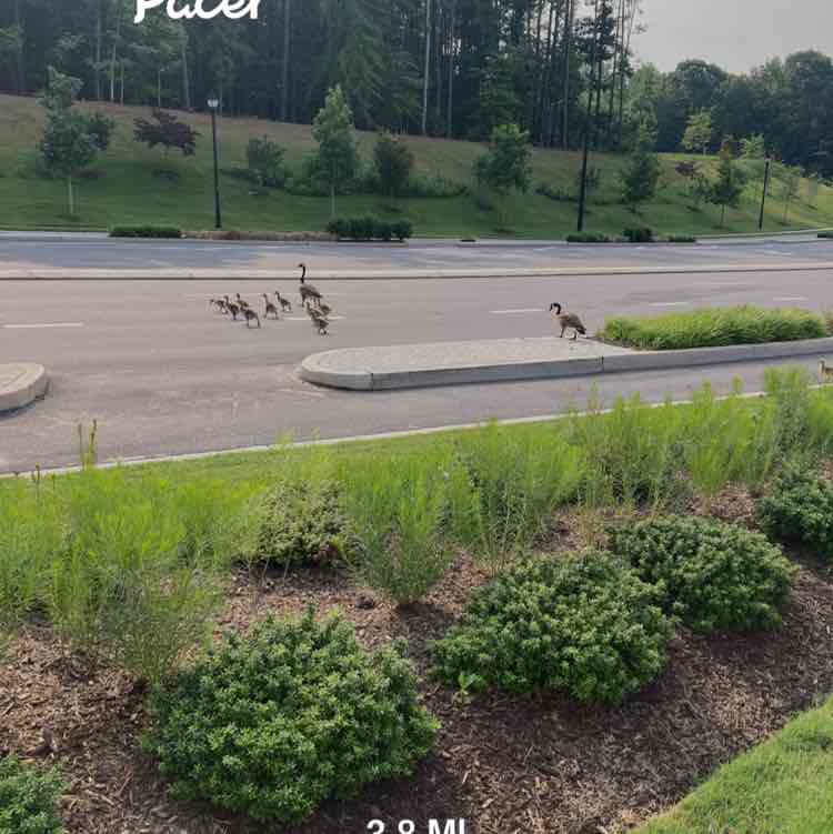 mildredolivarez post 1