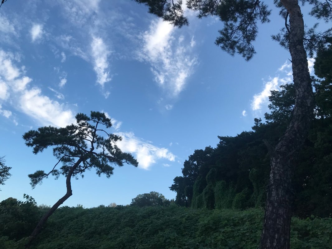 walking near me in 방아다리 공원 in winter