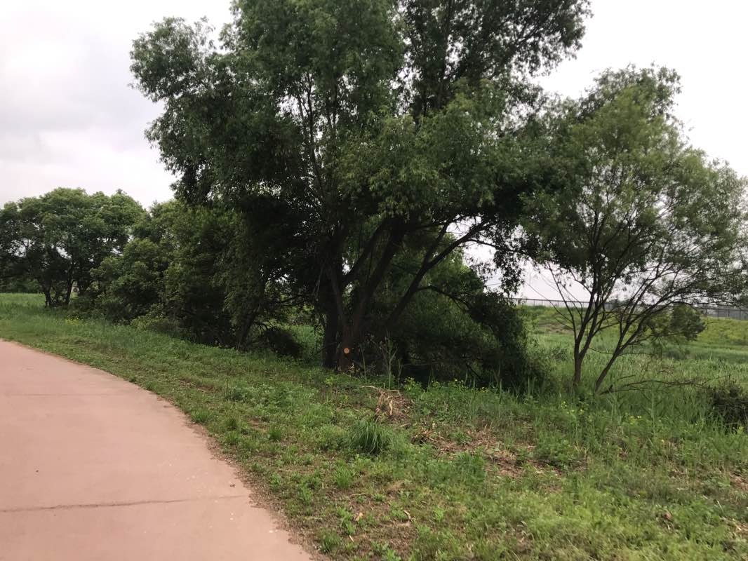 walking near me in 배수지공원 in winter
