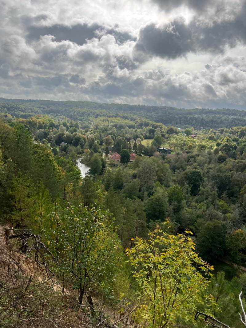 walking near me in Eduardo Balsio skveras in winter