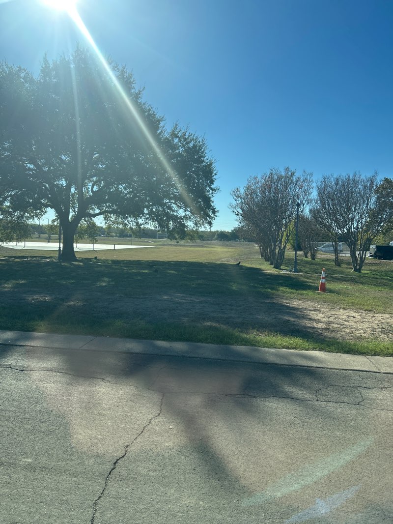 walking near me in River Ridge Park in winter