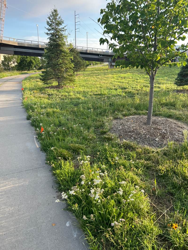walking near me in Lewis & Clark Landing in summer