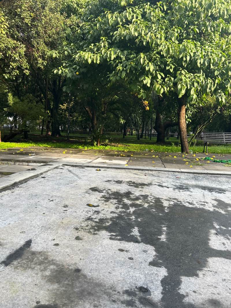 walking near me in Parque de las Estrellas in autumn