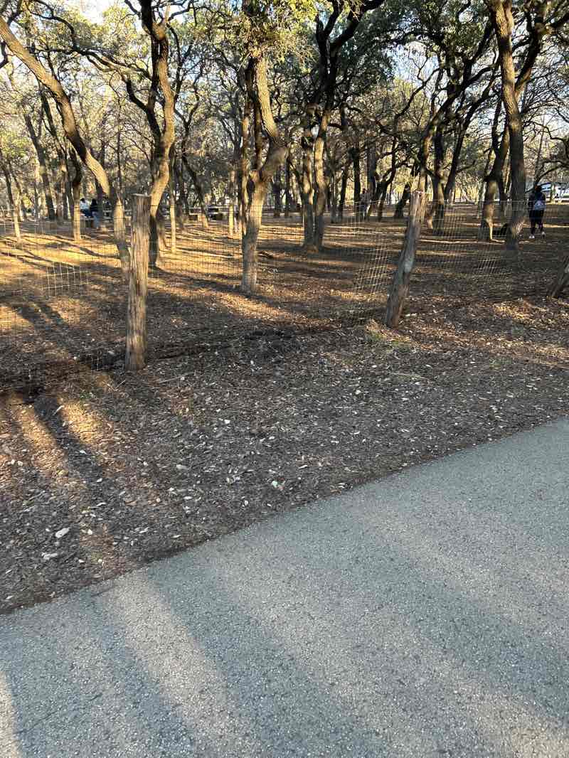 walking near me in Salado Creek Greenway in winter