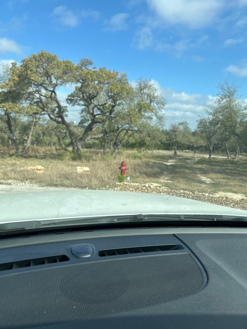 walking near me in Jefe Park in spring