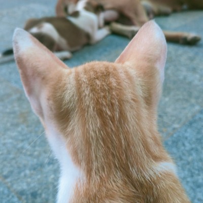 Running And Walking Group jitender post image