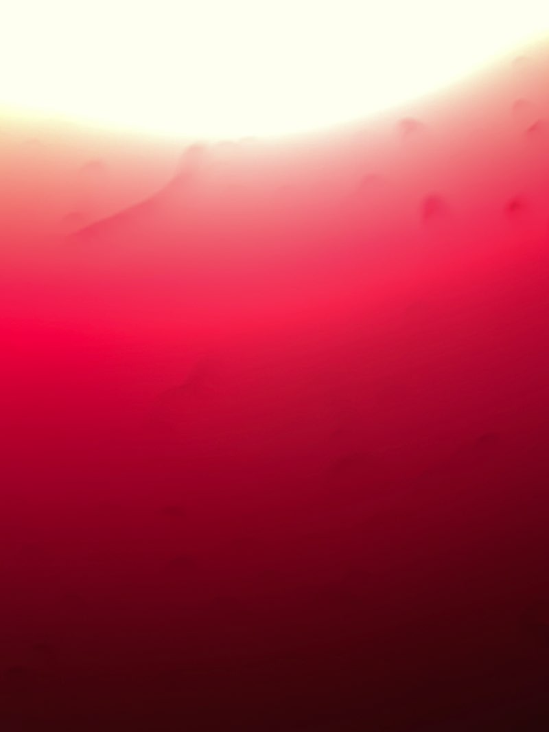 walking near me in Garden of Dreams in winter