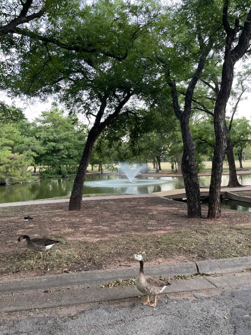 walking near me in Harrell Park in summer