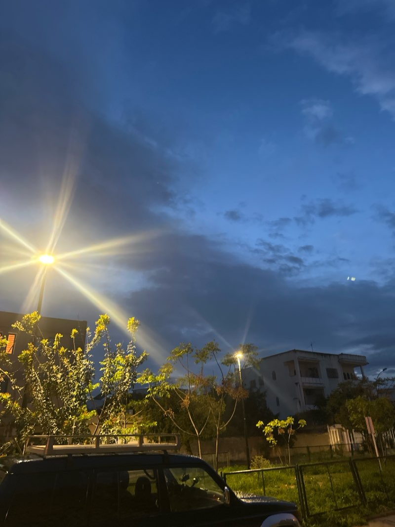 walking near me in Belvedere Park in spring