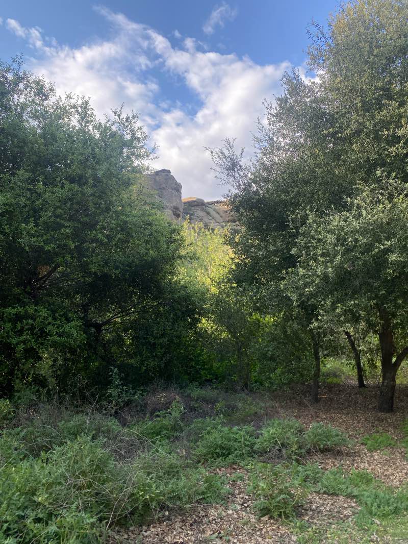 walking near me in Corriganville Regional Park in spring