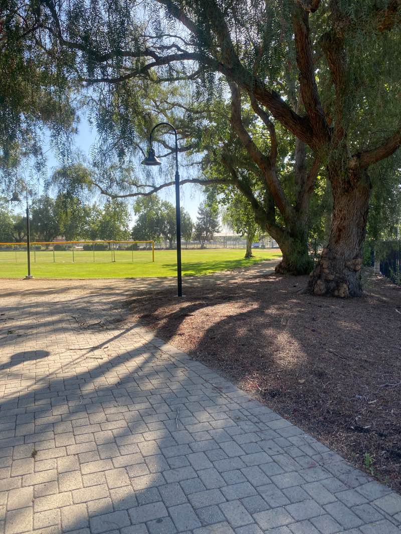 walking near me in Poindexter Park in summer